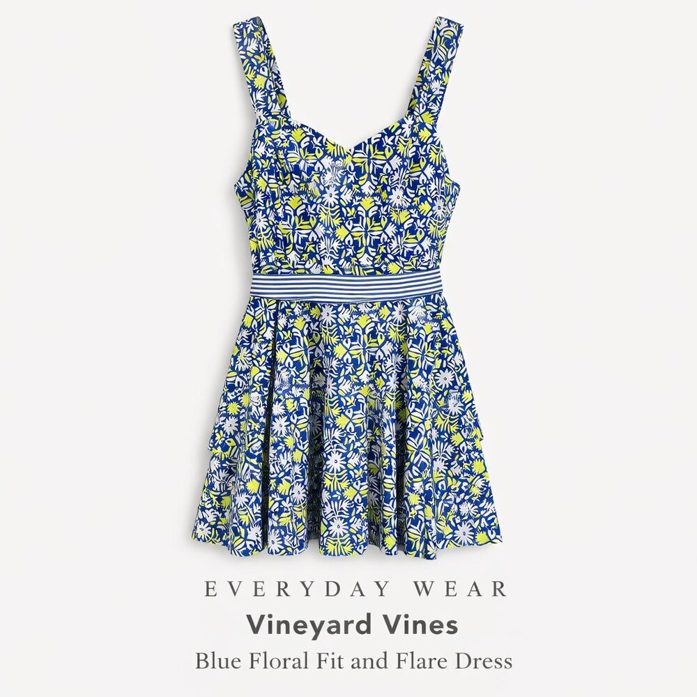 Vineyard Vines Blue Floral Fit & Flare Cotton Dress Size 12